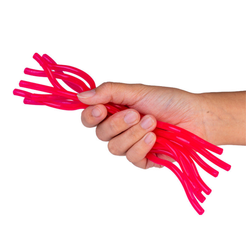 Pullie Pal Stretchy Noodle
