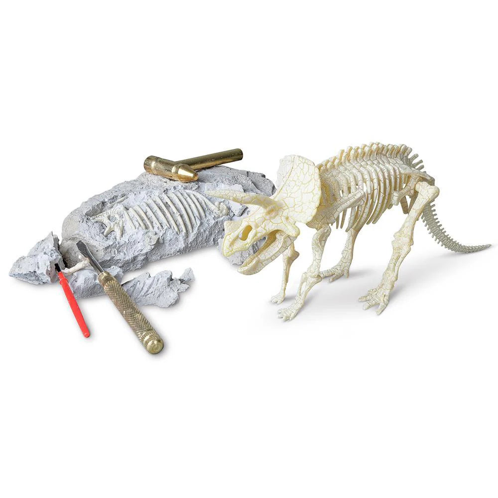 Heebie Jeebies Stegosaurus Paleontology Kit