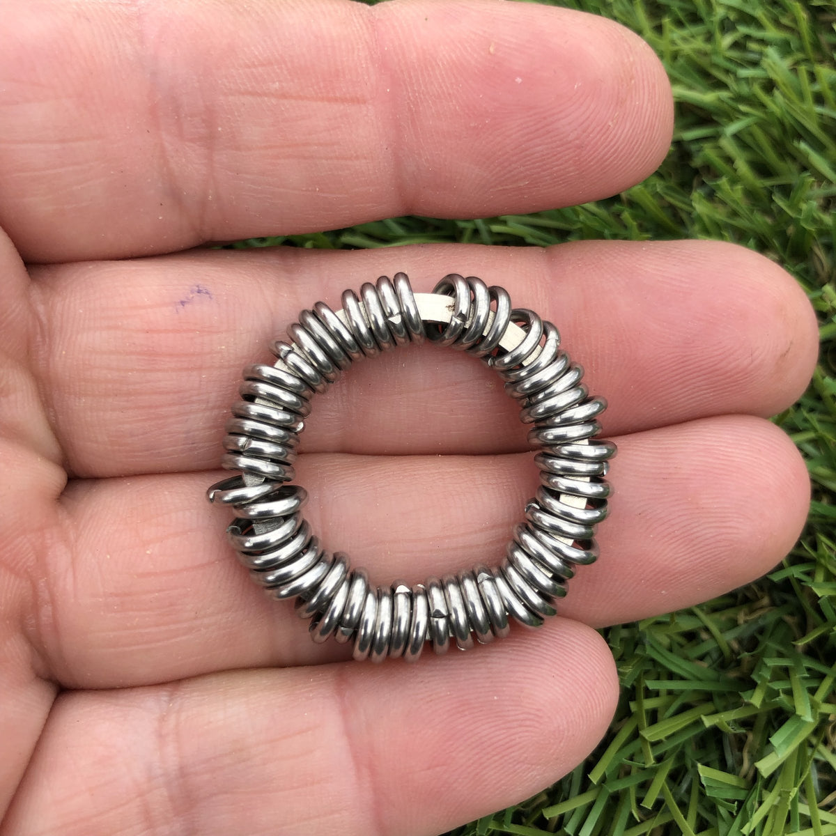 Millipede Fidget