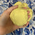 Pour and Play Playdough Seashell Yellow